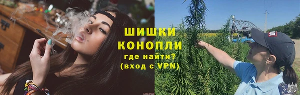 СК Надым