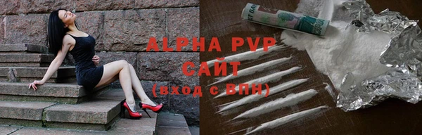 СК Надым