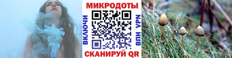 Псилоцибиновые грибы Psilocybine cubensis  наркошоп  Тюмень 