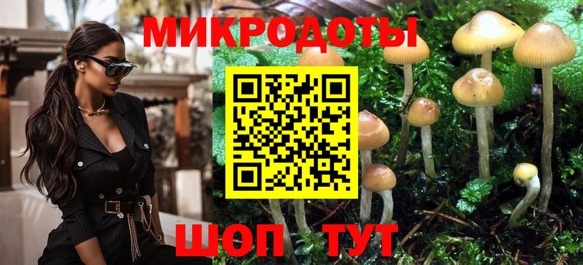 Тюмень  Псилоцибиновые грибы Psilocybe  Вход с VPN 